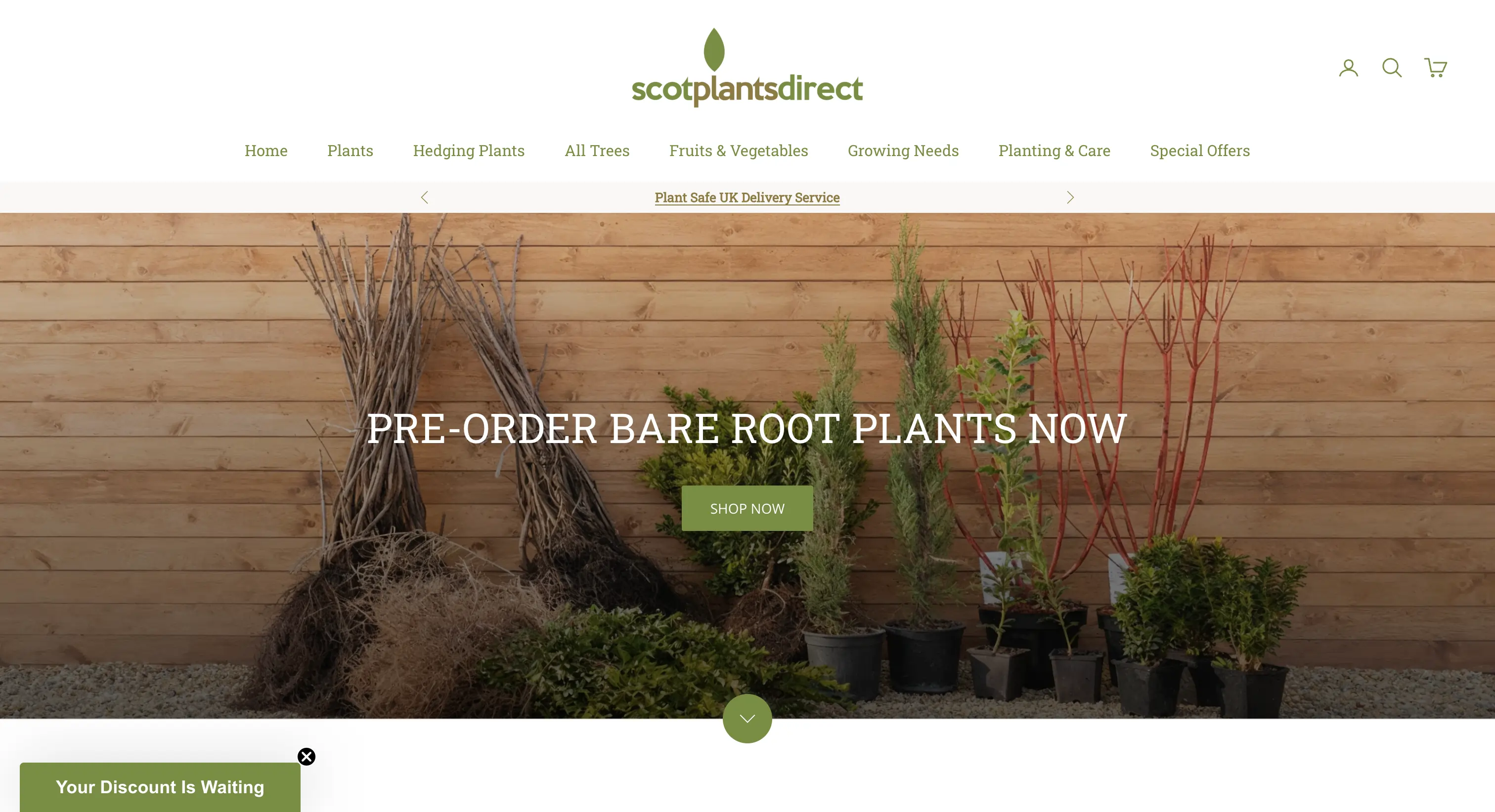 Scot Plants Direct